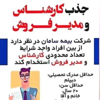 استخدام نیرو در شرکت بیمه سامان|استخدام بازاریابی و فروش|کرج, حصار|دیوار