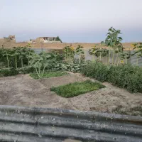 ۴۰۰۰هزار متر زمین شهر آباد اجاره و فروش|اجارهٔ خانه و ویلا|مشهد, شهرآباد|دیوار