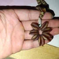 تسبیح گردنبند هسته خرما