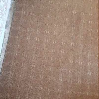 پالاز موکت|موکت|سنندج, |دیوار