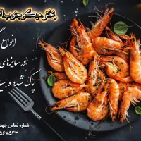 فروش انواع میگو جنوب