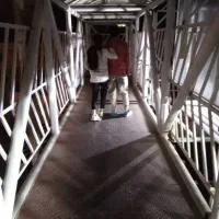 تور ..س رویس مدارس