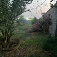 فروش-باغچه-ویلای-500-متری-در-زرگان