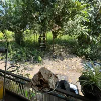 ۵۵۰متر سند تک برگ ۲ دقیقه شهر/رشت به کوچصفهان سنگر|فروش خانه و ویلا|سنگر, |دیوار