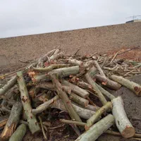 خریدار انواع چوب