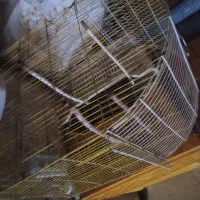 فروش باند و تلویزیون|سیستم صوتی خانگی|میاندوآب, |دیوار