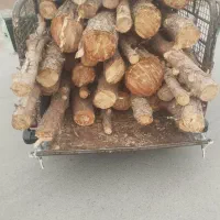 خرید چوب هرس کاری توصیه رو باسکول