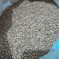 لوبیای محلی|خوردنی و آشامیدنی|دره شهر, |دیوار