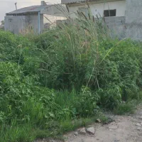 با نیسان یخچالدار هم معاوضه میکنم|فروش زمین و ملک کلنگی|رشت, ترمینال|دیوار