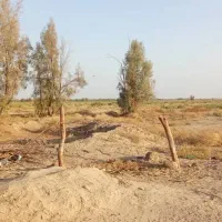 زمین کشاورزی|اجارهٔ دفتر صنعتی، کشاورزی، تجاری|بزمان, |دیوار