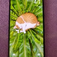 گوشی پوکوایکس۷پرو5G(حافظه ۵۱۲ رم۱۲)|موبایل|مشهد, ابوذر|دیوار