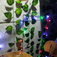 ریسه ال ای دی . چند رنگ . 5 متر