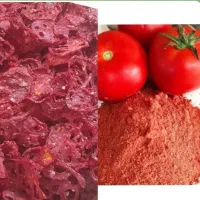 پودر گوجه وپودر پیاز