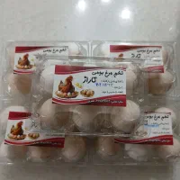 تخم مرغ بومی وتخم نطفه دارگلین