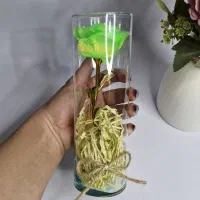 گل استوانه ای|گل مصنوعی|کرمانشاه, |دیوار