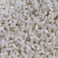 لاشه هاشمی آستانه اشرفیه