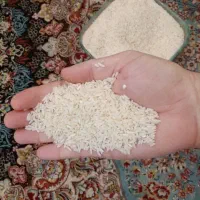 برنج هاشمی درجه یک محلی