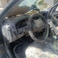 زانتیا سوخته