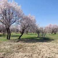 باغ سنتی پشت راه آهن