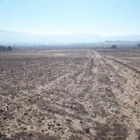 زمین صنعتی کشاورزی|فروش زمین و ملک کلنگی|خرم‌آباد, |دیوار