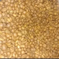 دانه قهوه در عمده فروشی