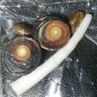 نگین انگشتر