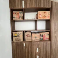 کمد دیواری به همراه شلف کتابخانه|کتابخانه، شلف، قفسه‌های دیواری|تهران, هروی|دیوار