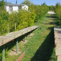 اجاره باغ ویلا سوییت|اجارهٔ کوتاه‌مدت ویلا و باغ|بروجرد, |دیوار