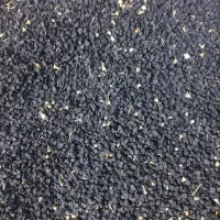 بذر پیازقرمز آذرشهر