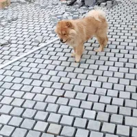 بناکاشیکار سرامیک کاری سنگ پله تعمیرات موزاییک کار