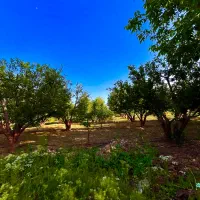 430متر-زمین-اشندر