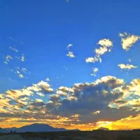 استخدام کارگر باشگاه اسب