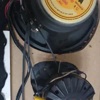 یه جفت میدرنج ۱۲ و یه جفت هرن|صوتی و تصویری|شیراز, شهرک مدرس|دیوار