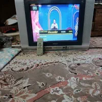 تلوزیون