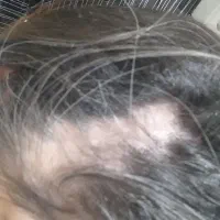 اطلاع رسانی