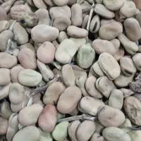 باقله|حراج|هرسین, |دیوار