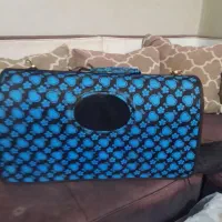 ساک حمل پت خانگی گربه ،سگ،درحدنو