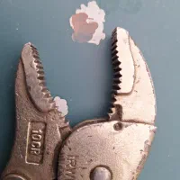 انبرقفلی آمریکایی