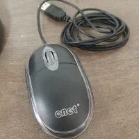 یک جفت موس