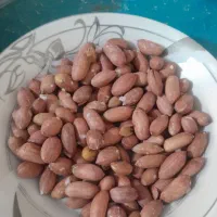 بادوم زمینی اعلا|عمدهفروشی|فردیس, شهرک راه آهن|دیوار