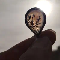 پلاک شجر اصلی|جواهرات|میبد, |دیوار