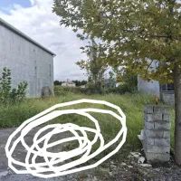 فروش زمین %230متری%سندار %ویو ابدی %580فقطمیلیون