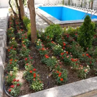 خدمات باغبانی تعویض خاک گلدون کاشت گل باغبان باغچه