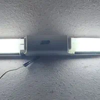 دو عدد مهتابی