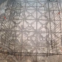 داگ پارک