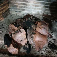 مشعل شومینه بهمراه سنگ های تزیینی|بخاری، هیتر، شومینه|نوشهر, |دیوار