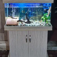 آکواریوم شیشه خم همراه با کمد