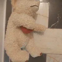 عروسک|اسباب‌بازی بچه|ساری, |دیوار