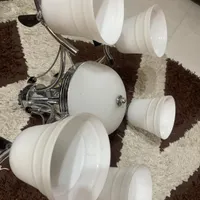 اوستر پنج شاخه