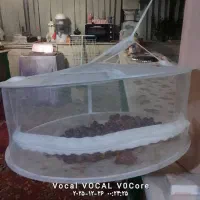 فروش میوه خشک کن و سبزی خشک کن از جنس پارچه توری